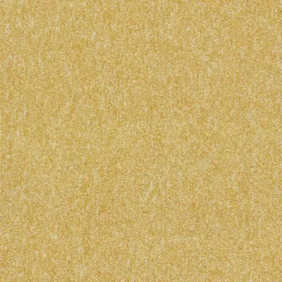 Canary