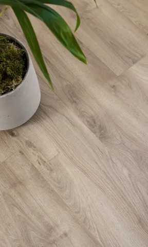 Organic Silent, White Oak plank 354