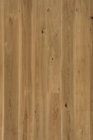 Augsburg Eg Plank 
