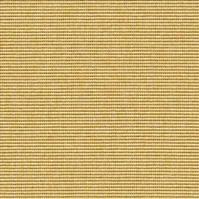 0909620