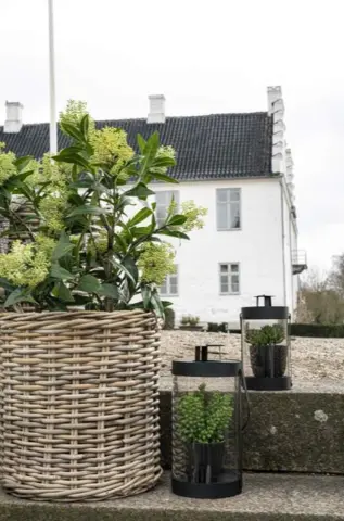 Kunstigt Skimma træ
