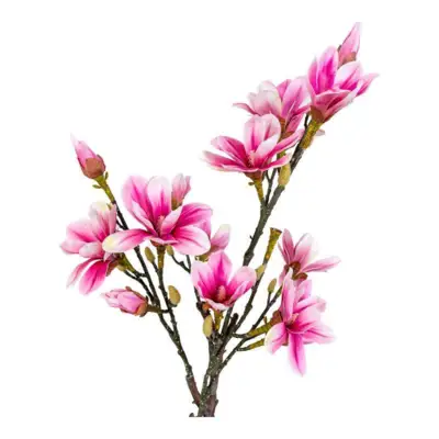 Kunstigt Magnoliatræ