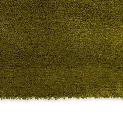 010107 Olive-deep forest