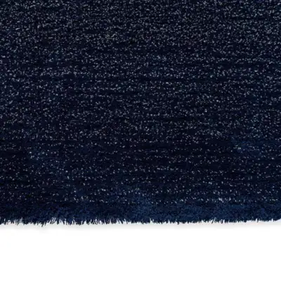 010104 Silver-polar night