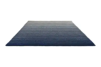010104 Silver-polar night