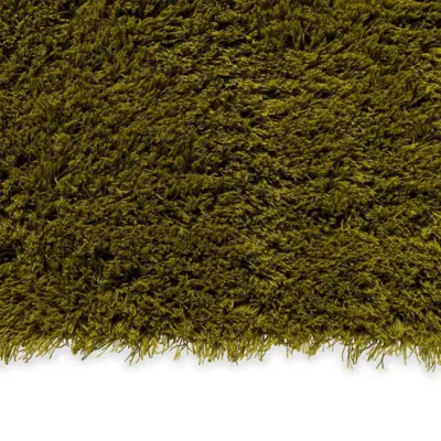 011907 Olive-deep forest