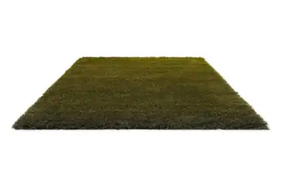 011907 Olive-deep forest