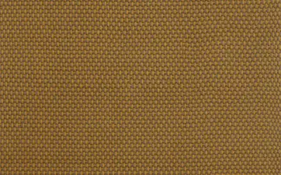 497217 Golden mustard grey