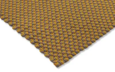 497217 Golden mustard grey