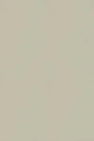 181472 White Moss
