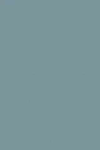 181662 Reef green