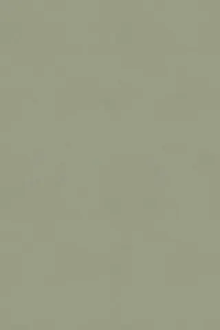 181742 Sage