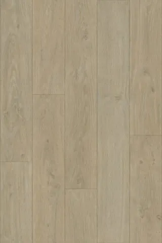 Elegant oak
