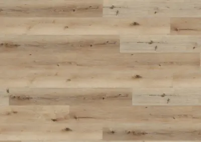 Ter Hürne, Rigid - Friends Oak Carl, plank