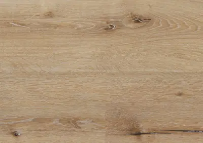 Ter Hürne, Rigid - Friends Oak Carl, plank