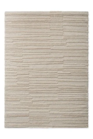 121704 Oyster