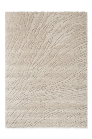 121604 Oyster
