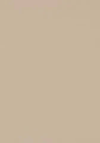 Bordlinoleum - Forbo Furniture Desktop Macadamia