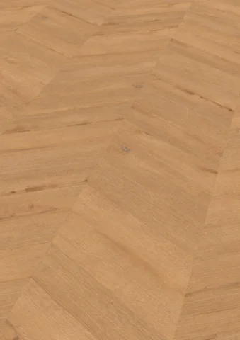 Chevron Edition Pro, Oak Hamburg 