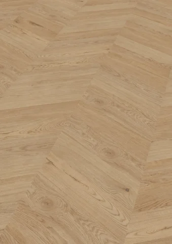 Chevron Edition Perform, Oak Dublin