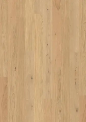 BOEN Eg Animoso, Plank 