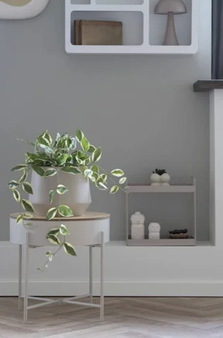 Voksblomst, kunstig grøn plante