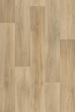 Lime Oak 223M  