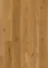 BOEN Eg Animoso, Plank