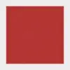 Forbo Bulletin Board - Hot Salsa
