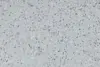 Blizzard VMI2055