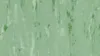 1037 Medium green