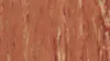 1055 Apricot