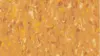 2325 Ochre