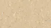 2635 Peach Orange