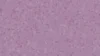 6048 Lavender