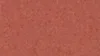 6055 Tomato