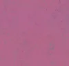 Marmoleum  Concrete - Purple Glow
