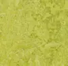 Marmoleum  Real - Chartreuse 