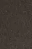 77548