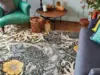 127008 Seaweed Teal