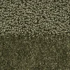 022107 Olive