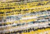 Sari, Sari Blue Yellow Mix 