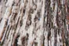 Brine and Brown 8888