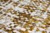 Citrine Load 8892
