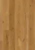 BOEN Eg Animoso Transparent, Plank 