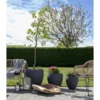 Trieste natur rattan stol