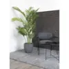 Areca, kunstig palme