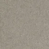 2923