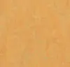 Marmoleum  Real - Golden Saffron 