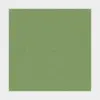 Forbo Bulletin Board - Baby Lettuce